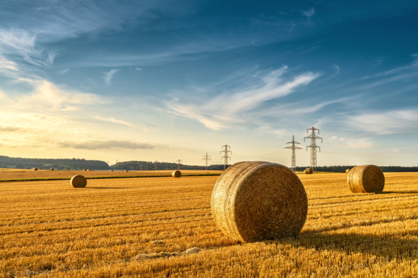 bail-rural-:-defaut-de-paiement-et-resiliation-du-bail