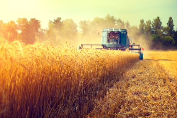 aides-aux-agriculteurs-:-la-teledeclaration-est-ouverte-!