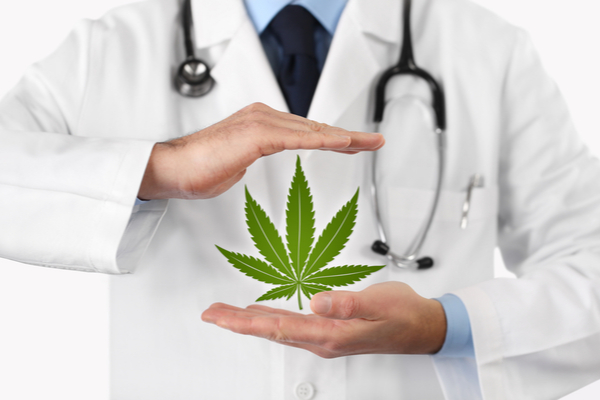 cannabis-therapeutique-:-lancement-de-l’experimentation-!