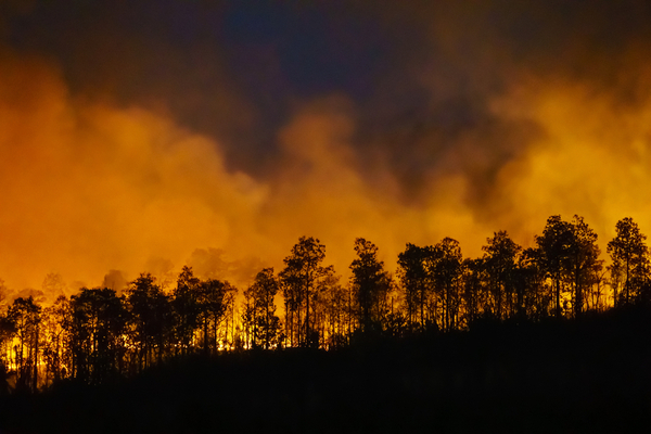 feux-de-foret-:-les-conseils-pour-les-eviter