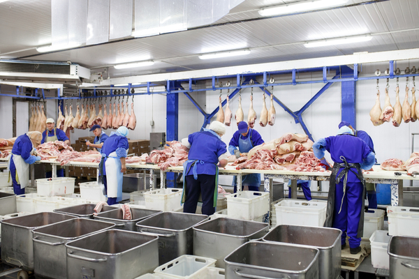 abattoirs-:-des-controles-renforces