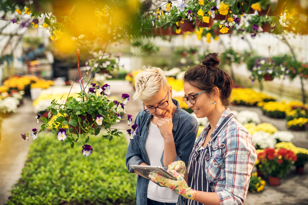 vente-de-plantes-et-vegetaux-:-une-nouvelle-obligation-d’information-!