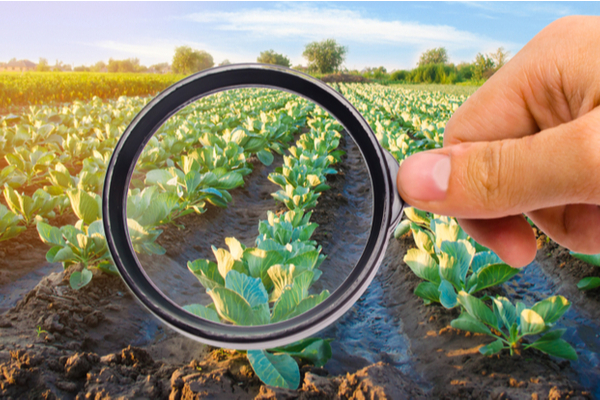 pratiques-commerciales-deloyales-:-du-nouveau-pour-le-secteur-agro-alimentaire