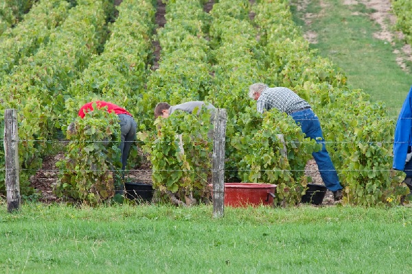 travail-saisonnier-:-petit-guide-a-l’embauche-de-travailleurs-etrangers