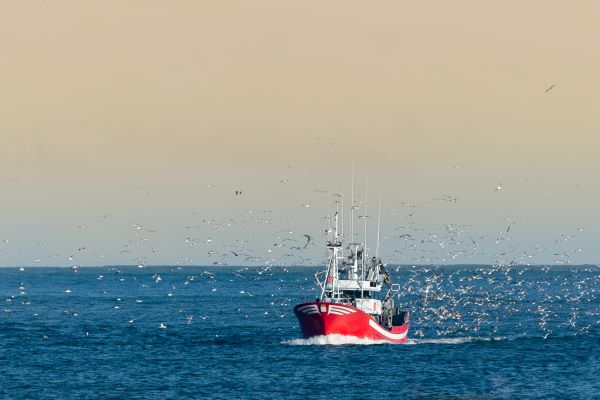 brexit-et-arret-temporaire-des-activites-de-peche-:-acte-2