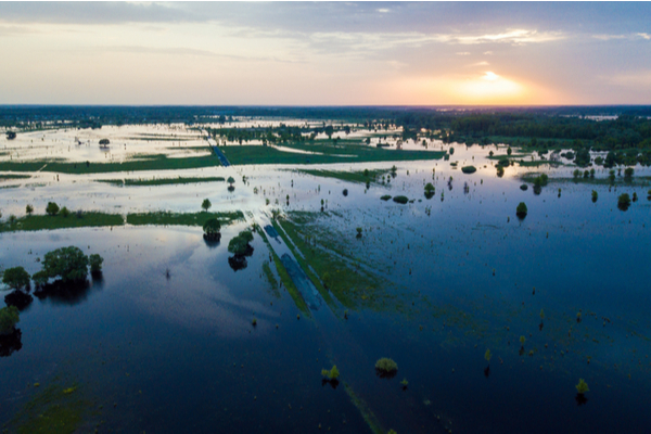 agriculture-et-inondations-:-une-(nouvelle)-aide-financiere-est-debloquee-!