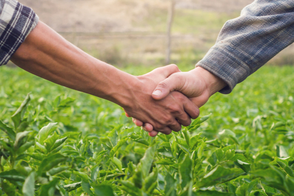 mal-etre-des-agriculteurs-:-un-nouveau-plan-de-soutien