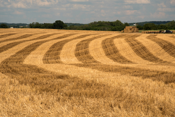 agriculteurs-:-attention-a-la-redaction-du-conge-pour-reprise-!