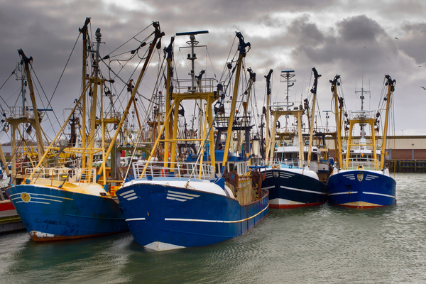 secteur-de-la-peche-:-beneficier-d’une-aide-financiere-avant-qu’il-ne-soit-trop-tard-!