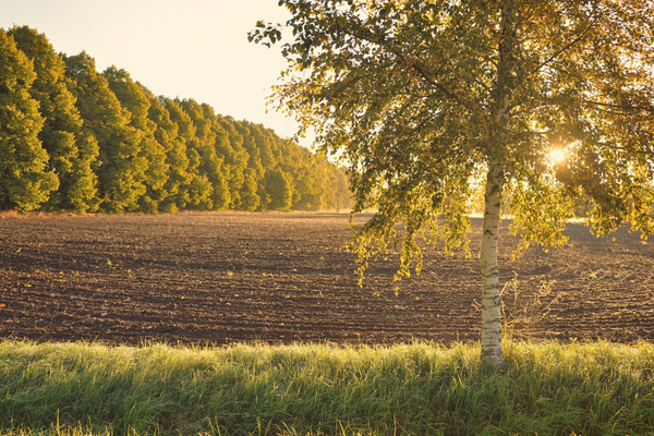 secteur-agricole-:-une-loi-pour-mieux-reguler-l’acces-au-foncier