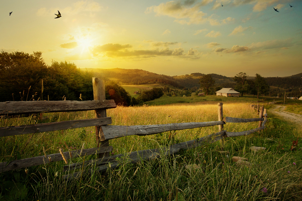 location-d’un-terrain-agricole-:-bail-rural-ou-bail-precaire-?